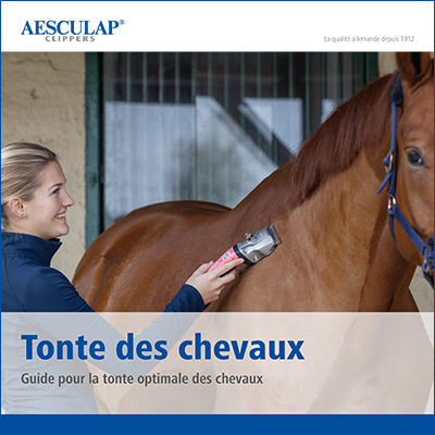 Titre du guide équestre sur les tondeuses pour chevaux et la tonte des chevaux